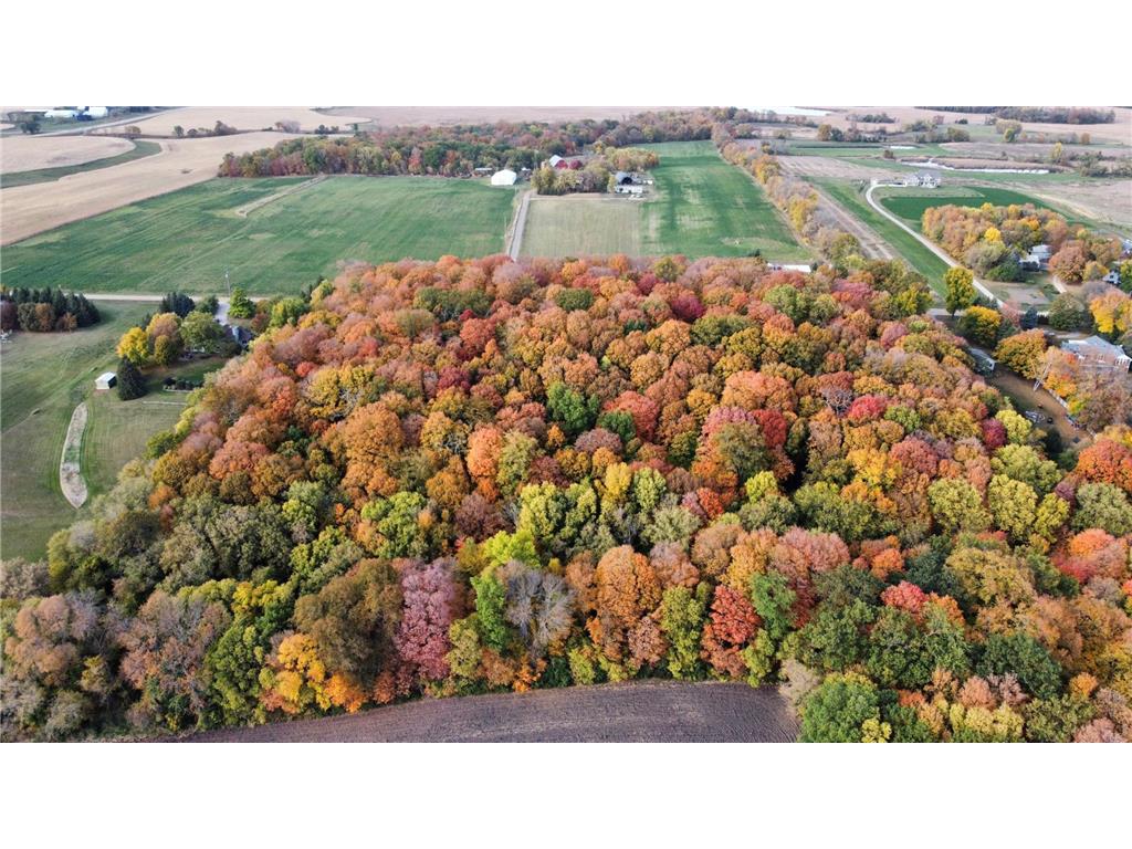 11275 66th Street Waconia MN 55387 6809691 image7