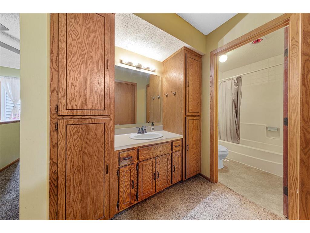 1128 Highland Avenue Northfield MN 55057 6819574 image15