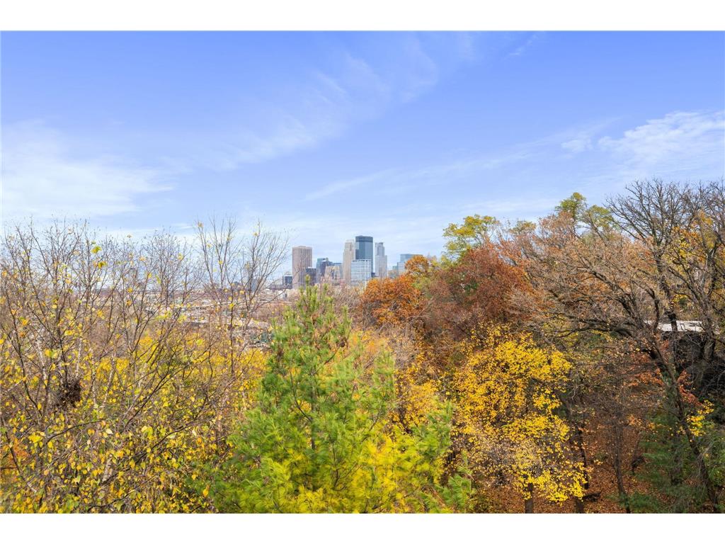 1128 Kenwood Parkway Minneapolis MN 55403 6821928 image64