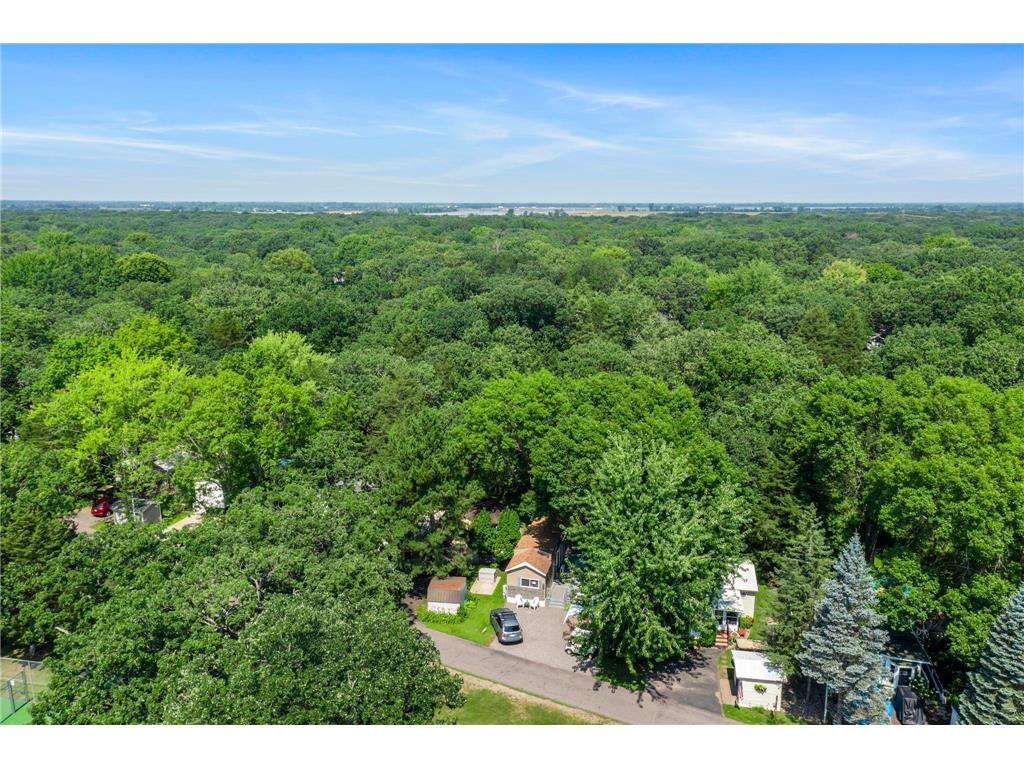 11290 80th Avenue SE #317 Clear Lake MN 55319 - Mississippi 7007855 image8