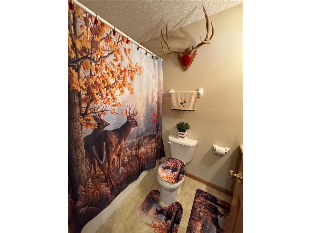 11290 Highway 1 Northome MN 56661 7007555 image37
