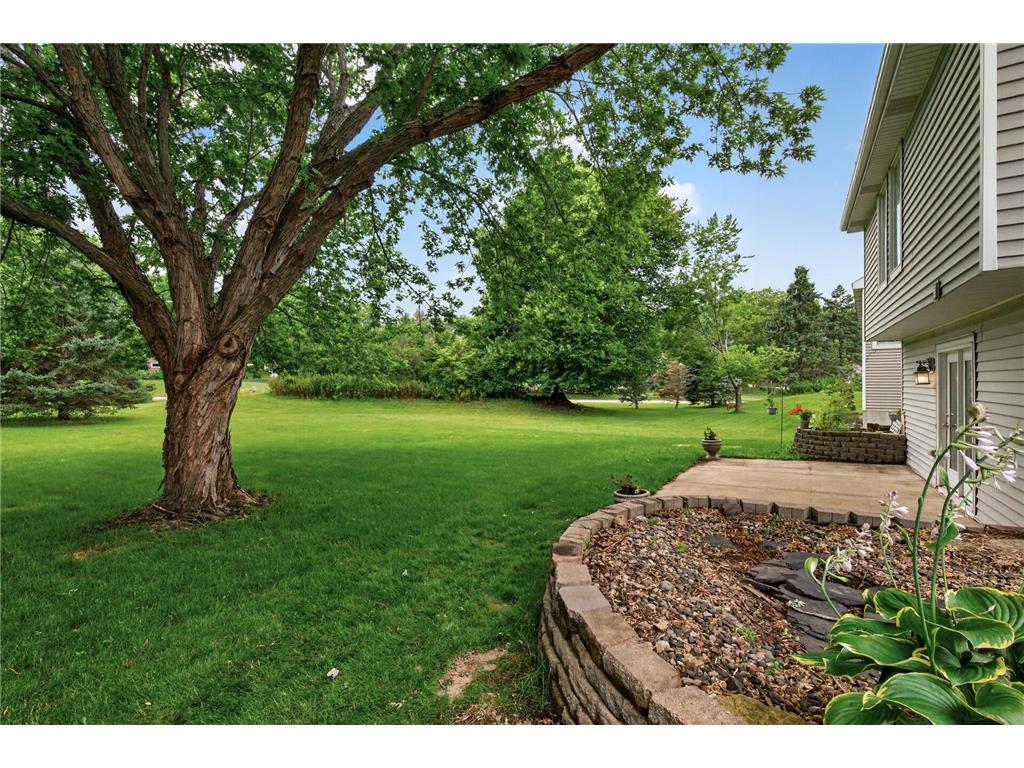 11295 50th Place N Plymouth MN 55442 7105776 image46