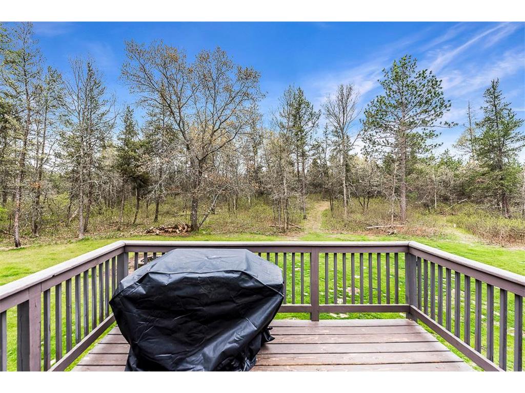 11298 Town Hall Street Crow Wing Twp MN 56401 7038871 image9