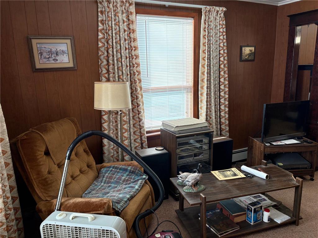 113 5th Street S Virginia MN 55792 7021547 image19