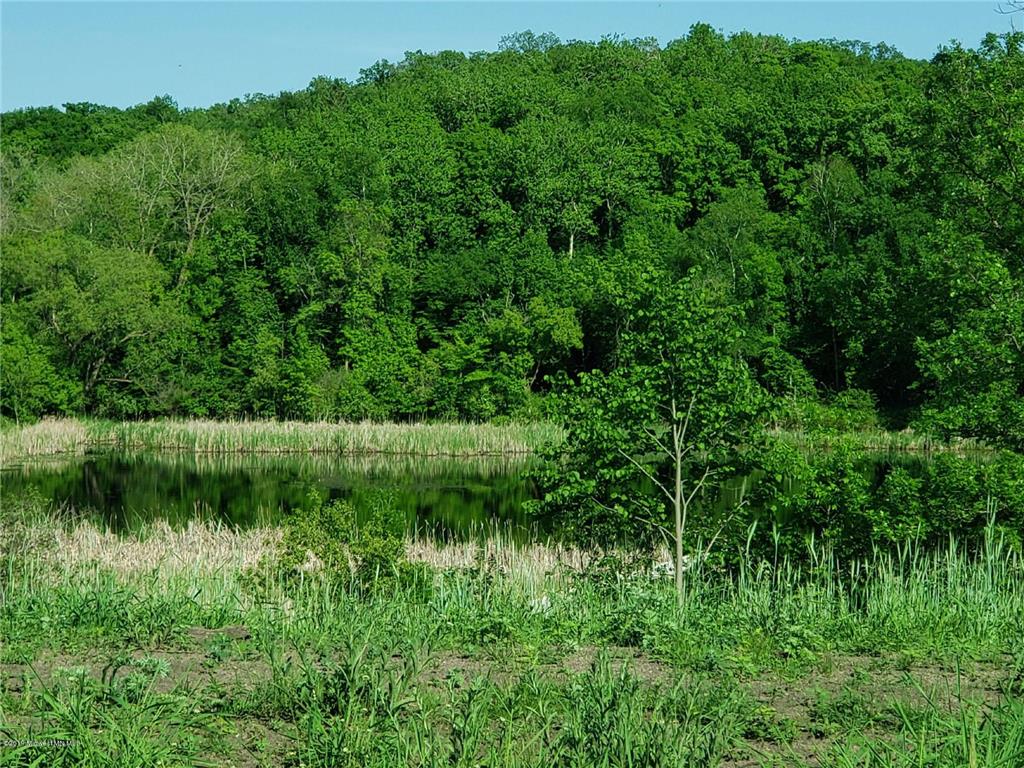 113 Altavista Drive Detroit Lakes MN 56501 - Detroit 6207315 image10