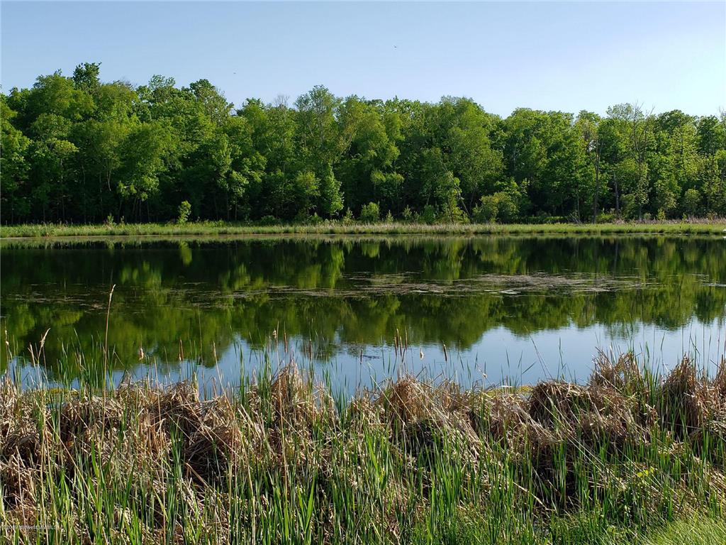 113 Altavista Drive Detroit Lakes MN 56501 - Detroit 6207315 image12