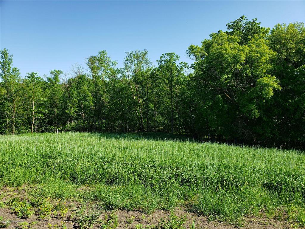 113 Altavista Drive Detroit Lakes MN 56501 - Detroit 6207315 image15