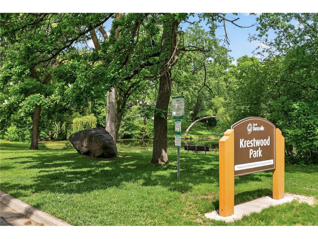 113 E 135th Street Burnsville MN 55337 7082340 image51