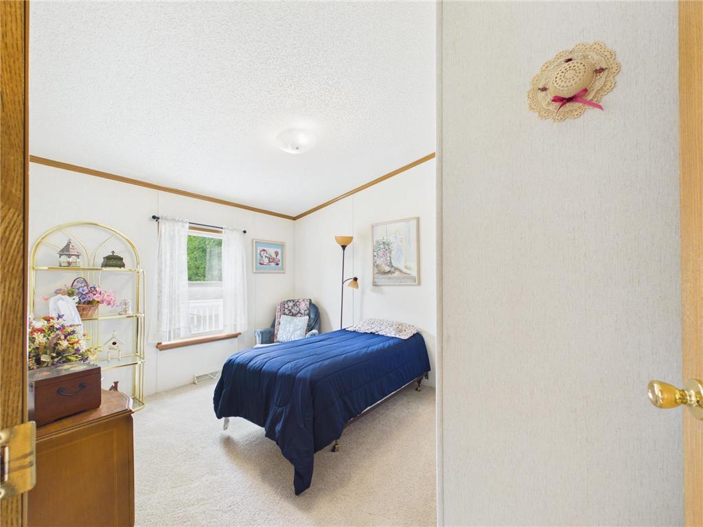 113 E Ridgeview Drive Starbuck MN 56381 7100176 image19