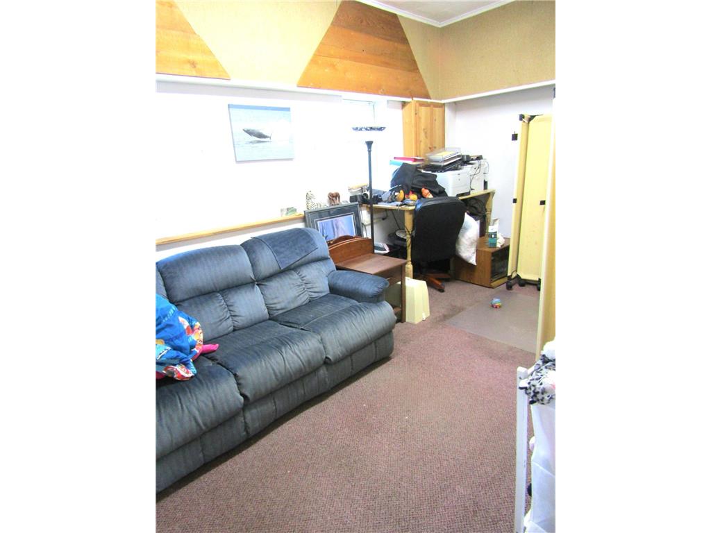 113 N 1st Street Montevideo MN 56265 7105384 image5