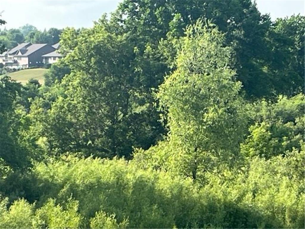 113 Par Drive Albany MN 56307 6776777 image3