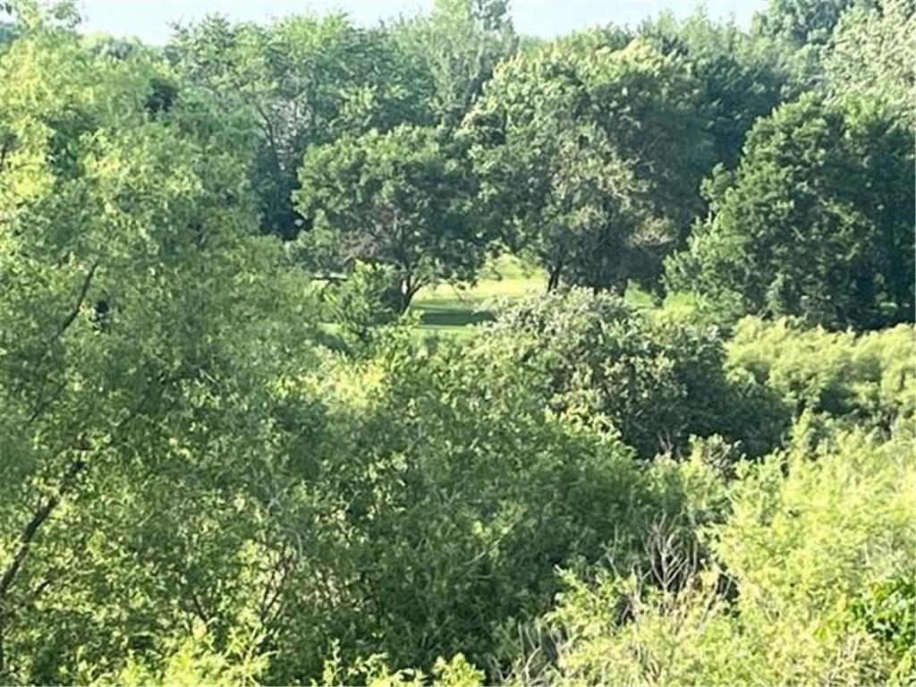 113 Par Drive Albany MN 56307 6776777 image4