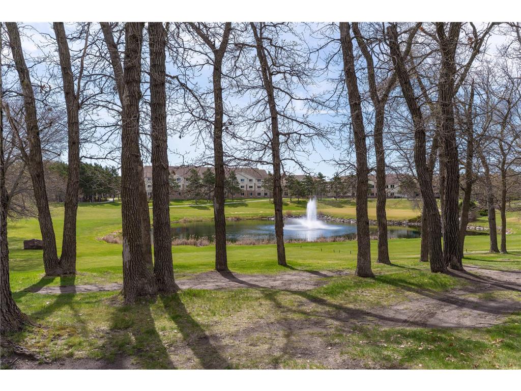 113 Spruce Trail Ottertail MN 56571 7065995 image6