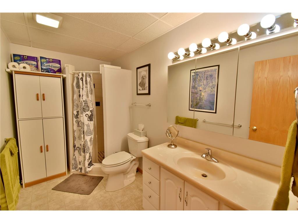 11302 251st Avenue Birchdale Twp MN 56378 6769119 image25