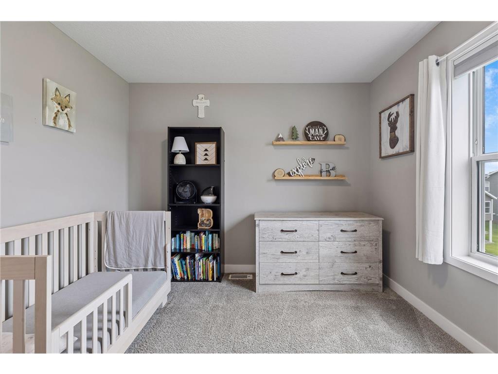 11302 Red Stem Court Rogers MN 55311 7098755 image23