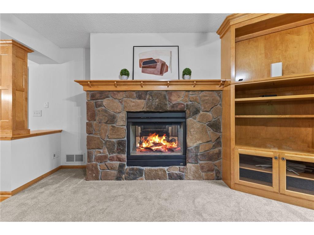 11305 Parkside Trail Dayton MN 55369 7028140 image21