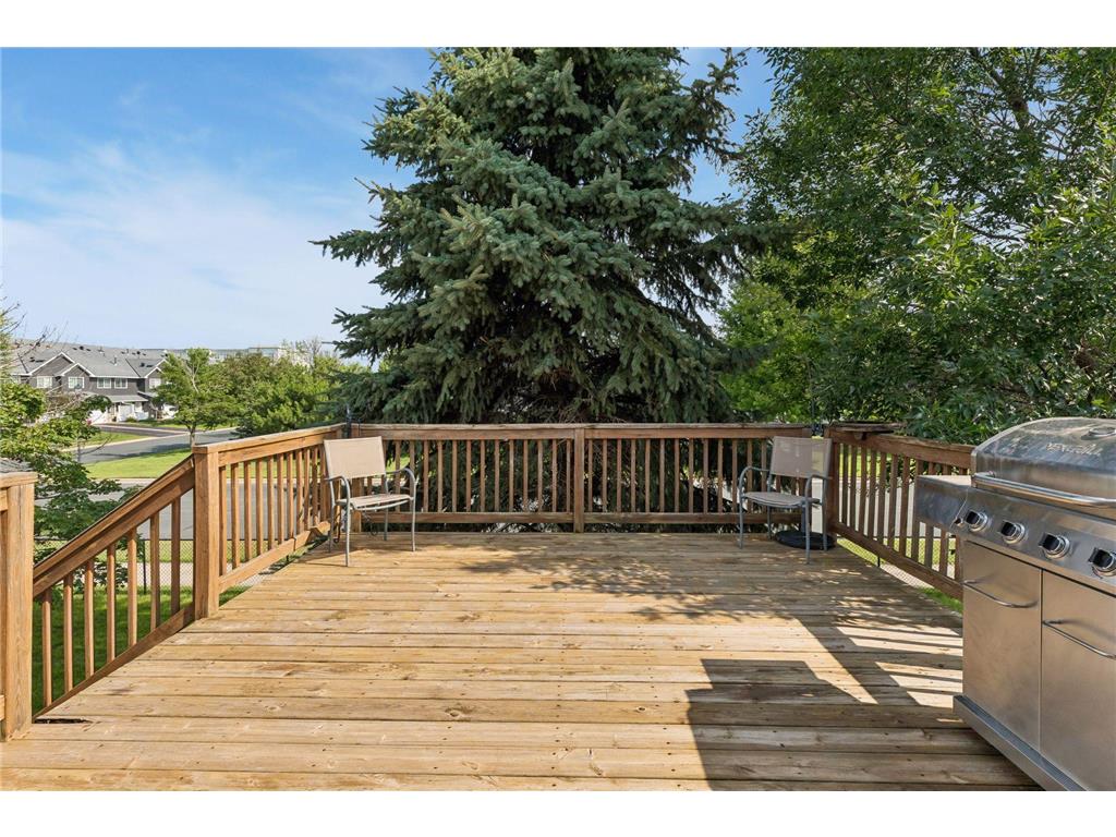 1131 Village Street SE New Prague MN 56071 7106435 image19