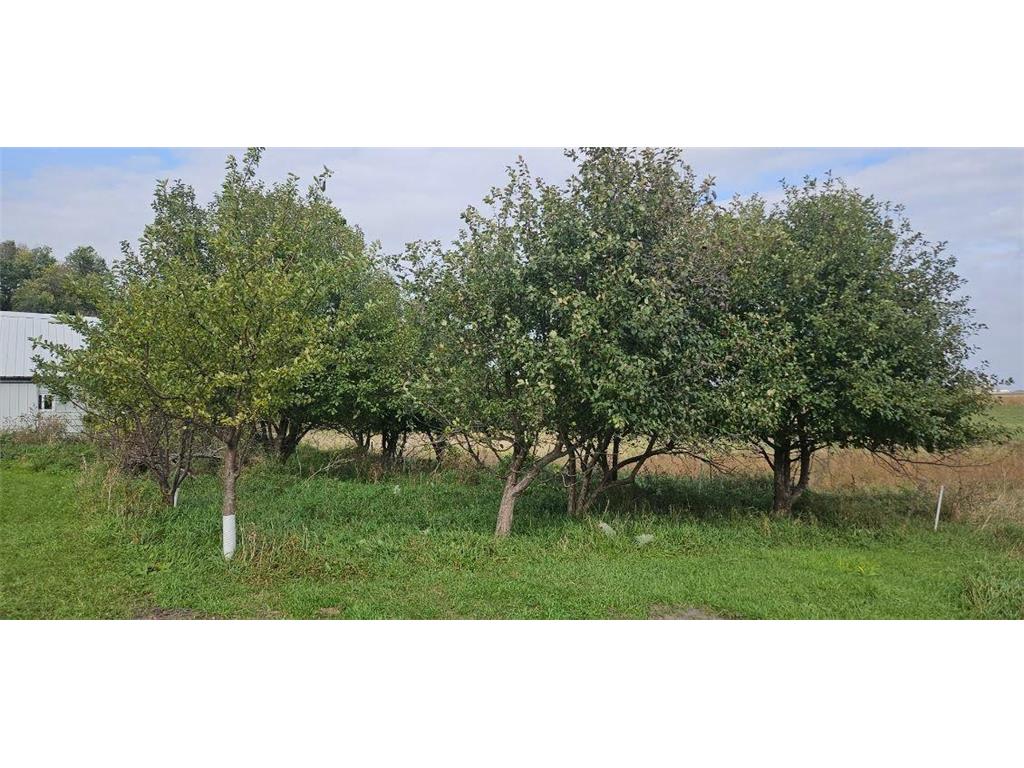 11314 County Road 31 SE Osakis MN 56360 6799150 image49