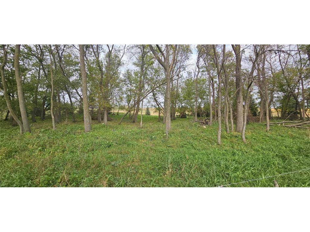 11314 County Road 31 SE Osakis MN 56360 6799150 image51