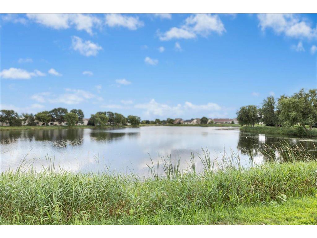 11316 Fergus Street NE #E Blaine MN 55449 6764649 image26