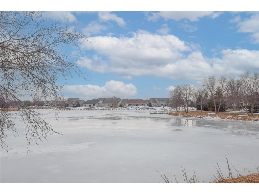 11316 Fergus Street NE #E Blaine MN 55449 7020419 image46