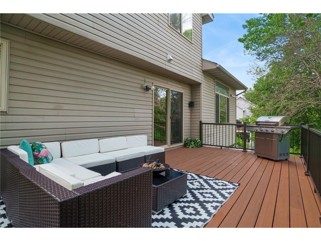 11316 Tilbury Lane N Champlin MN 55316 7103281 image14
