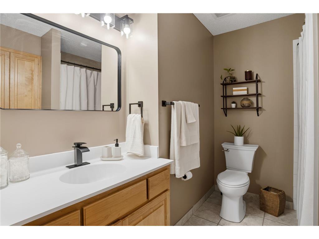 11316 Tilbury Lane N Champlin MN 55316 7103281 image23
