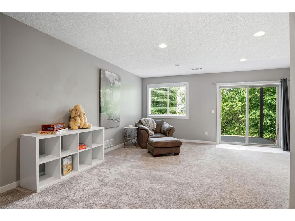 11316 Tilbury Lane N Champlin MN 55316 7103281 image25