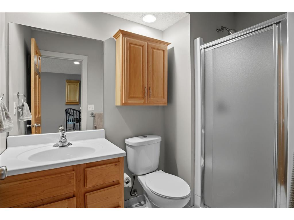 11316 Tilbury Lane N Champlin MN 55316 7103281 image28