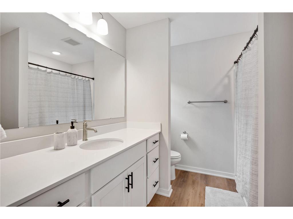 1132 Dorthy Lane Elko New Market MN 55054 7012916 image8