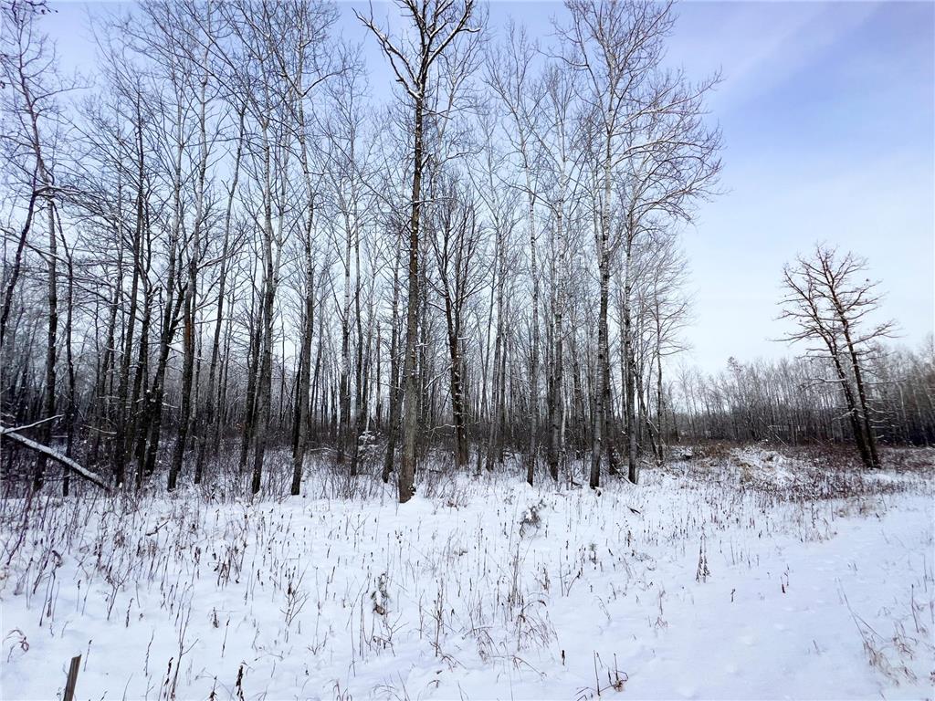 11323 Atylade Court NE Frohn Twp MN 56601 6476890 image1