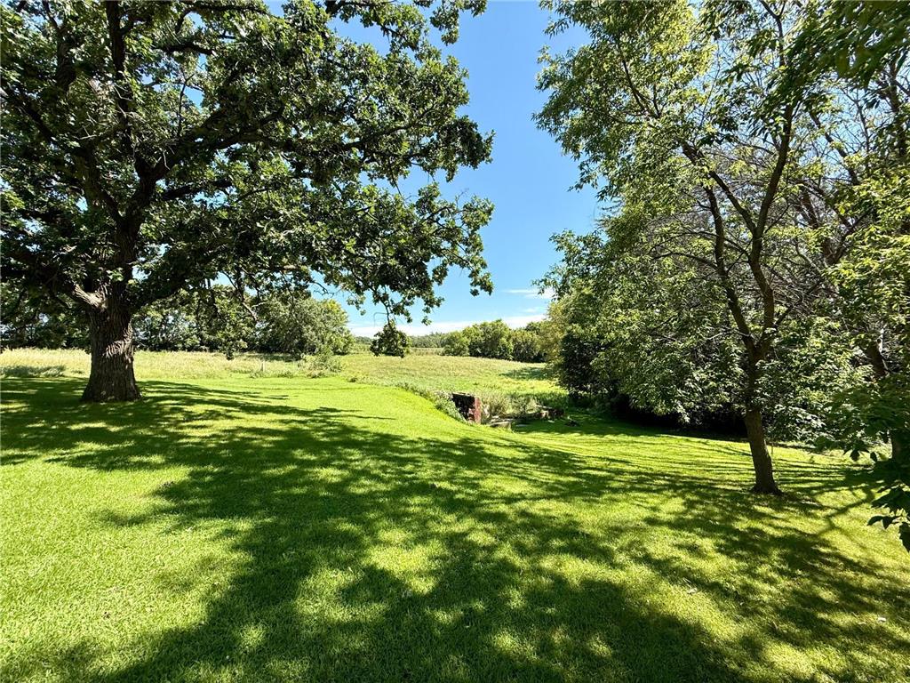 11328 County 11 Kandota Twp MN 56378 6776899 image47