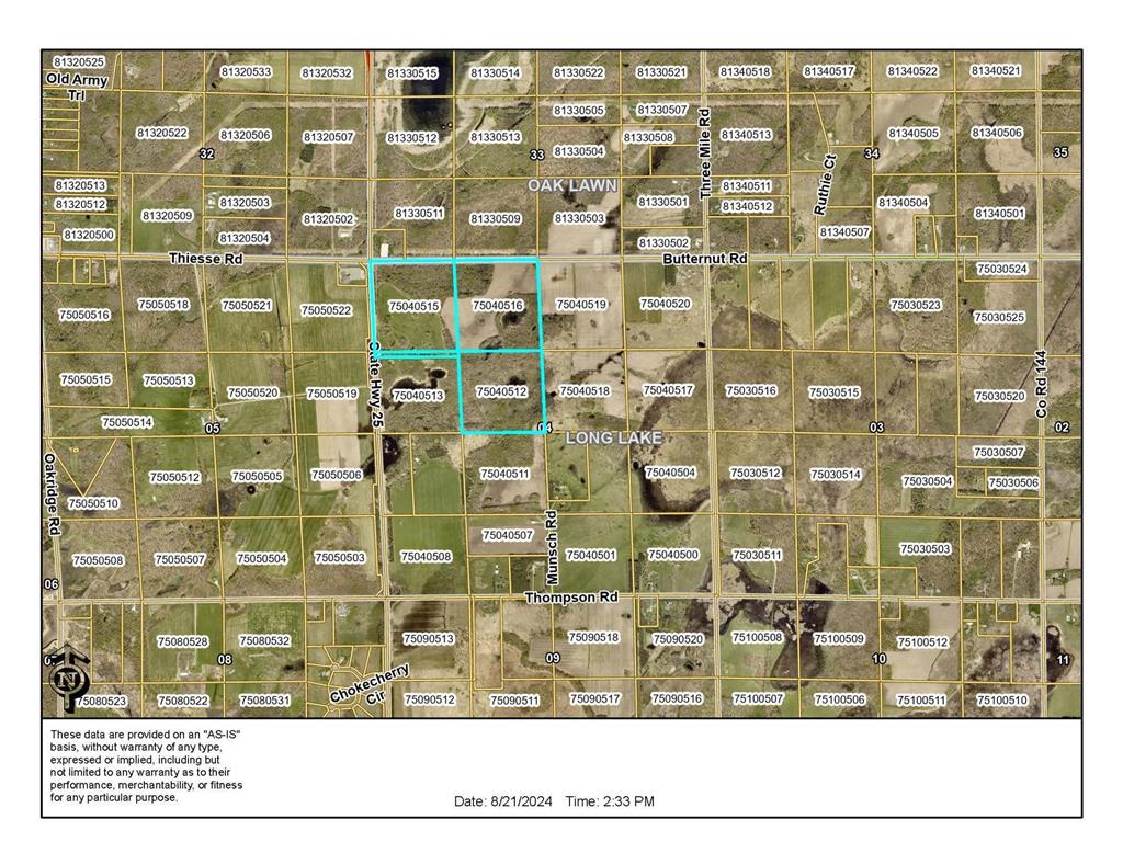 11332 State Highway 25 Long Lake Twp MN 56401 6590167 image1