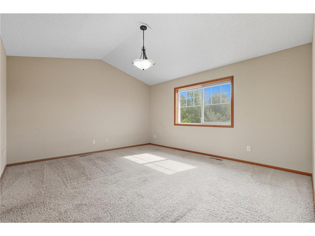 11333 Ivywood Trail Woodbury MN 55129 7102681 image19