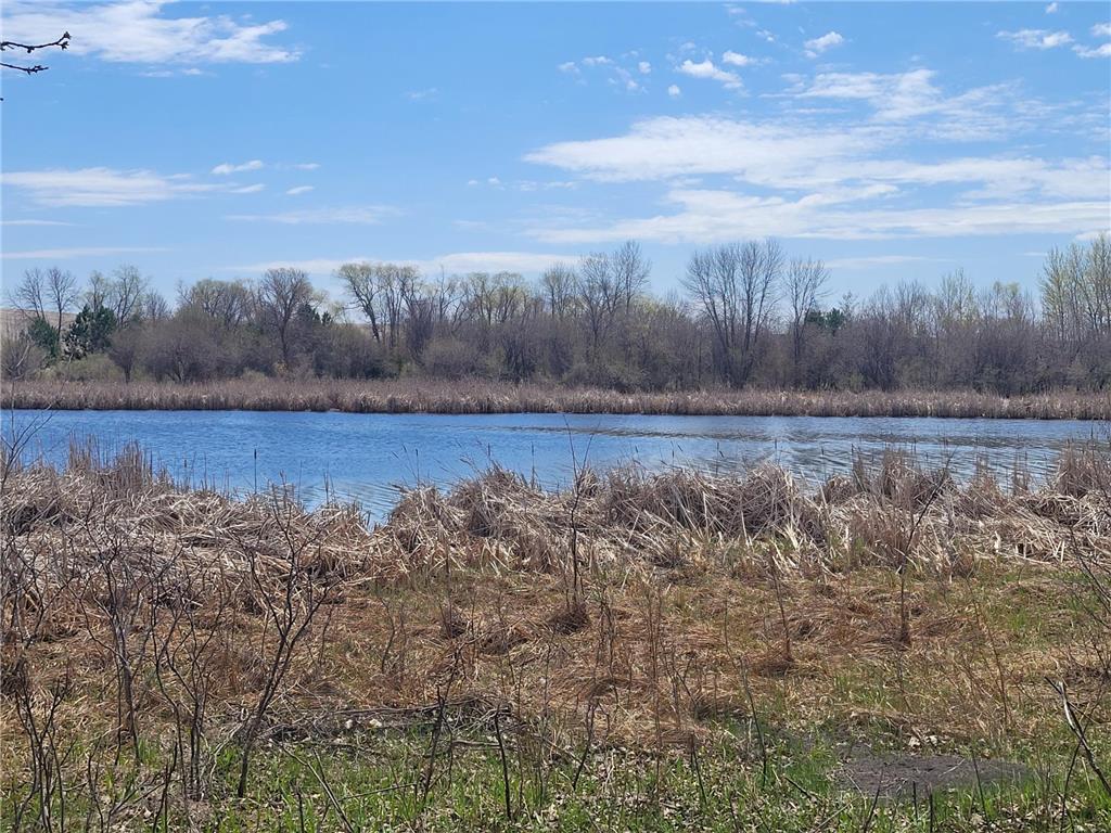 11335 Creek View Drive Pelican Rapids MN 56572 7071967 image3