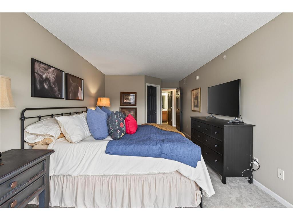 11343 Stratton Avenue #202 Eden Prairie MN 55344 7002238 image18