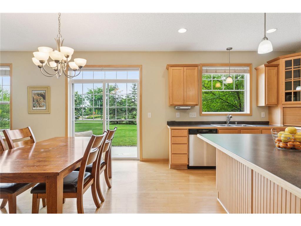 11344 Eagle View Terrace Woodbury MN 55129 6733173 image12