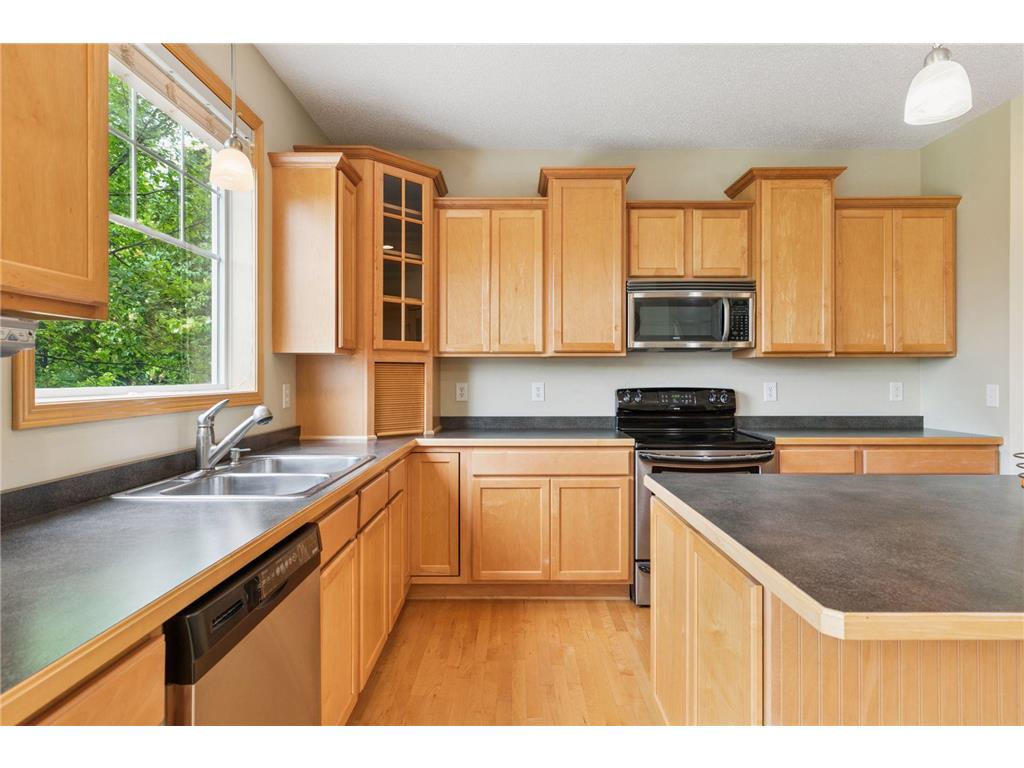 11344 Eagle View Terrace Woodbury MN 55129 6733173 image14