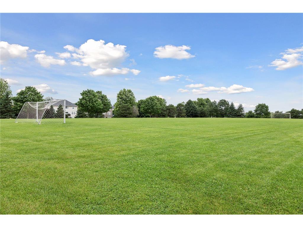 11344 Eagle View Terrace Woodbury MN 55129 6733173 image39