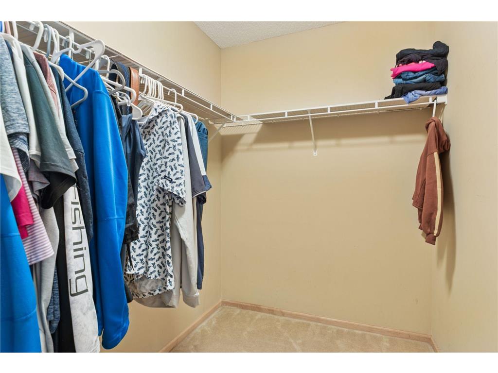 11344 Eagle View Terrace Woodbury MN 55129 6733173 image53