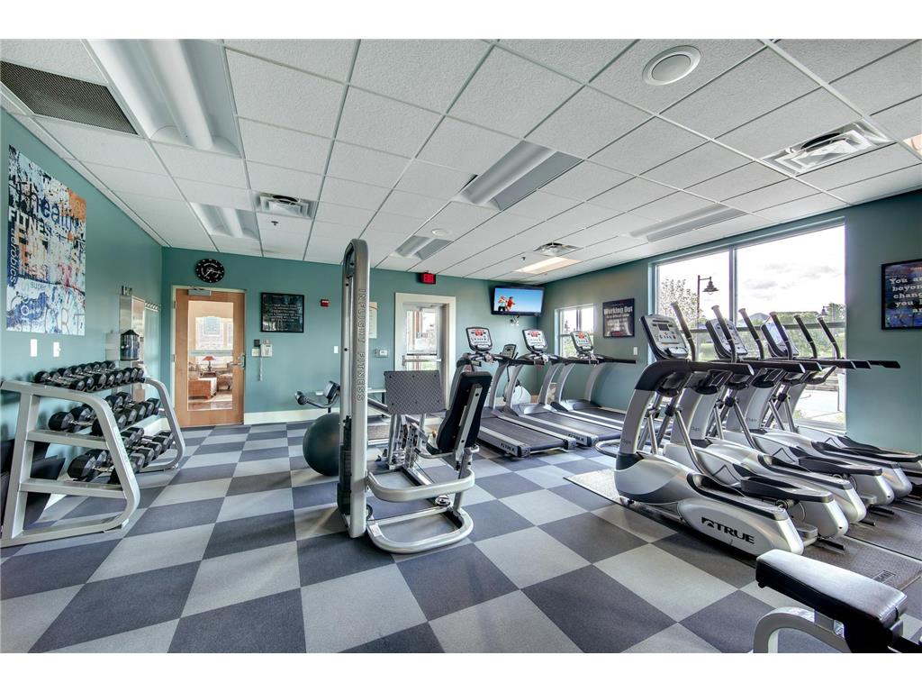 11344 Eagle View Terrace Woodbury MN 55129 6733173 image70