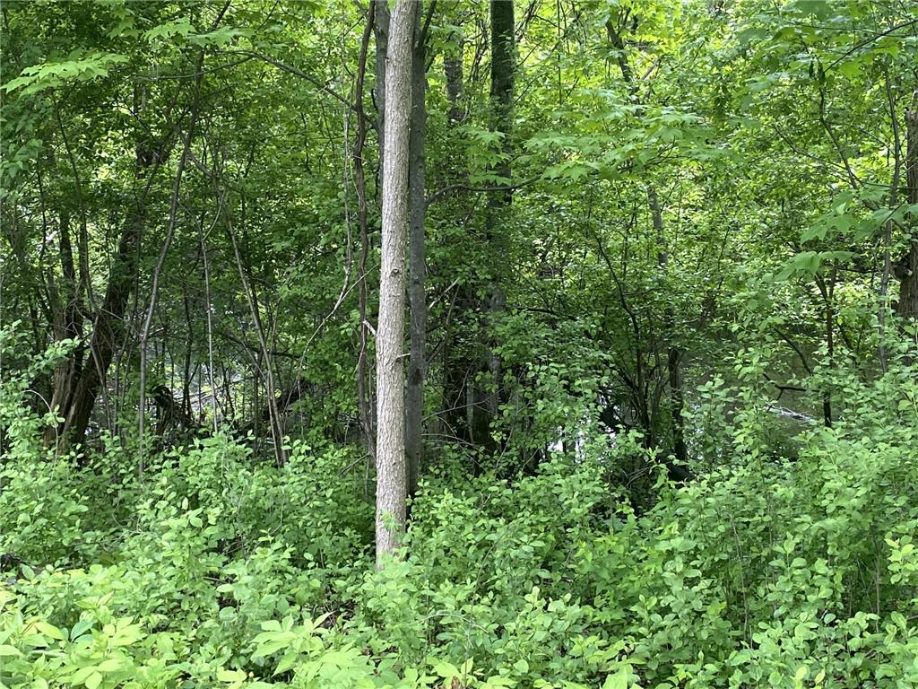 11344 Elk Lane NW Elk River MN 55330 7079520 image20