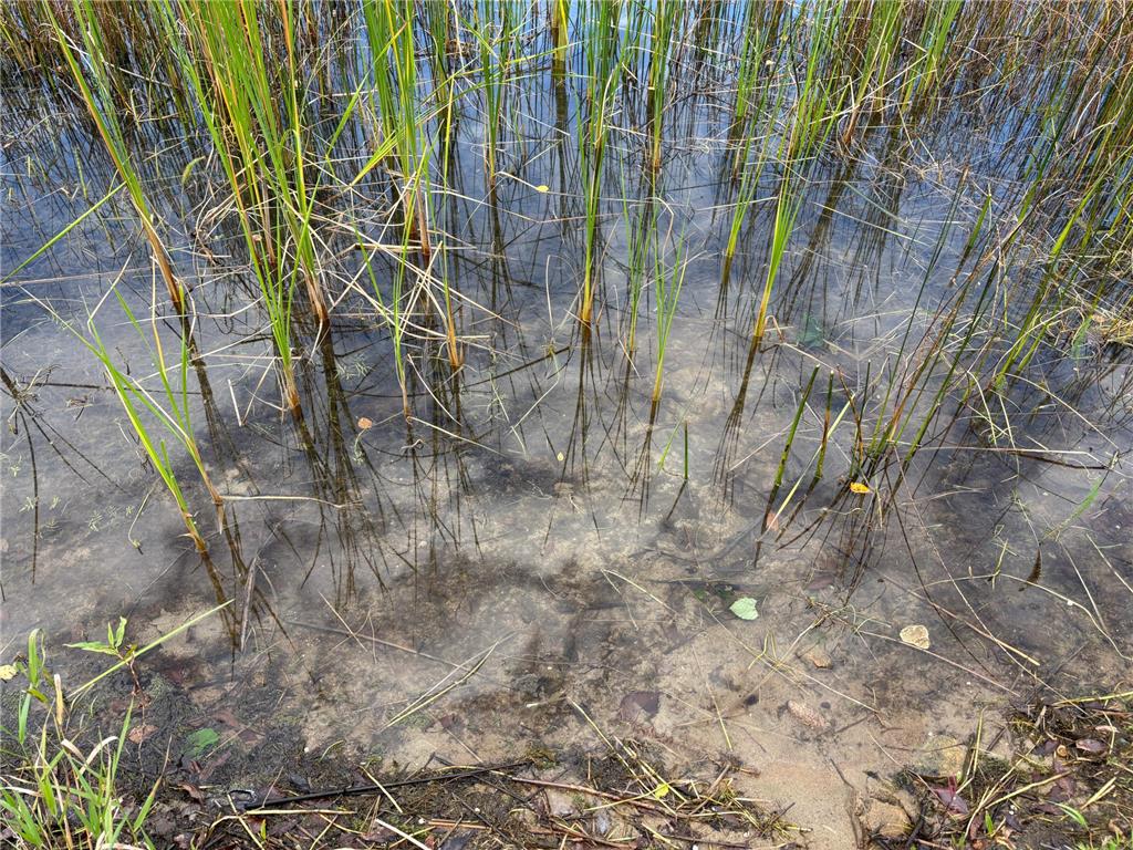 11347 Lupine Way NE Turtle River Twp MN 56601 - Turtle River 6798262 image72