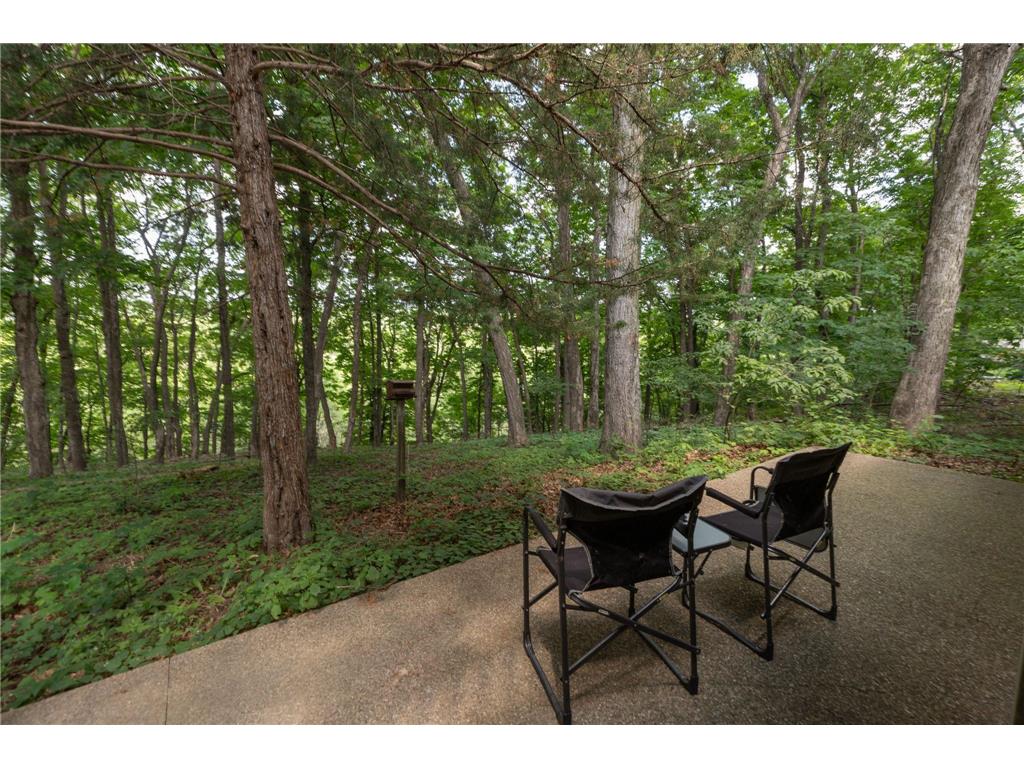 1135 1st Street NW Oronoco MN 55960 6824599 image39