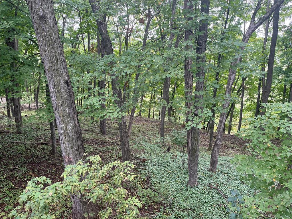 1135 1st Street NW Oronoco MN 55960 6824599 image51