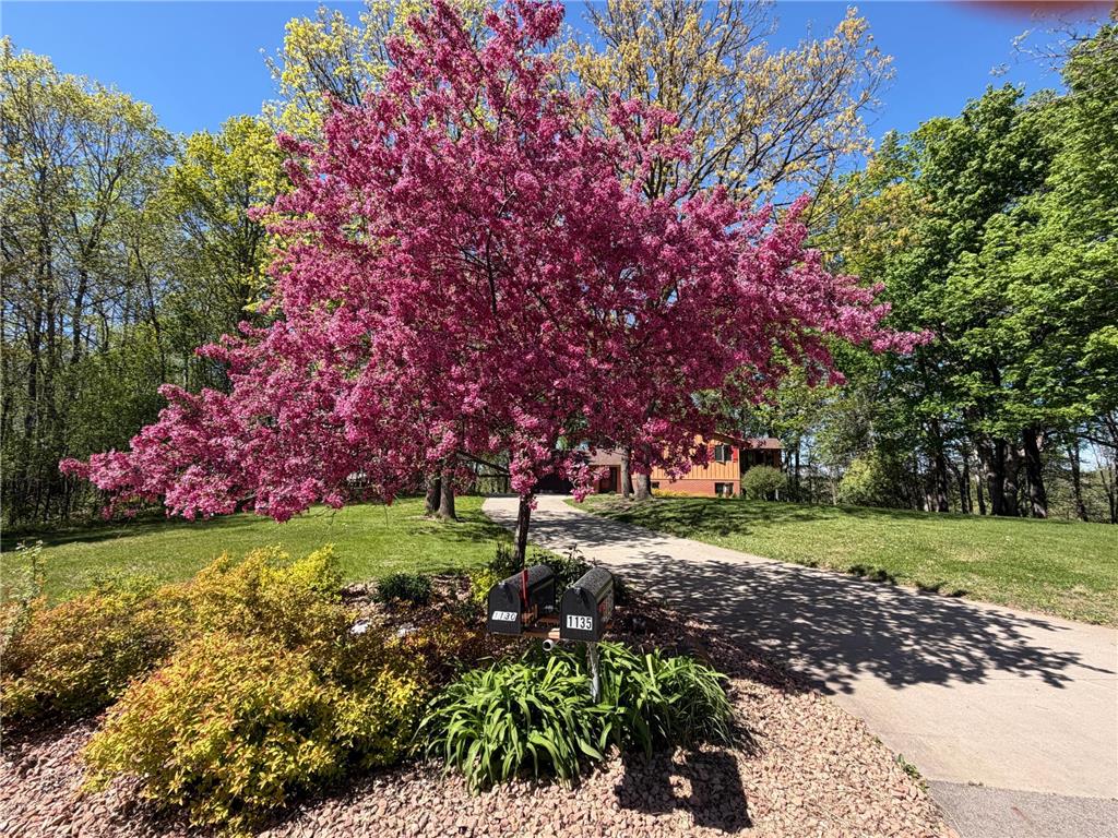 1135 1st Street NW Oronoco MN 55960 6824599 image59