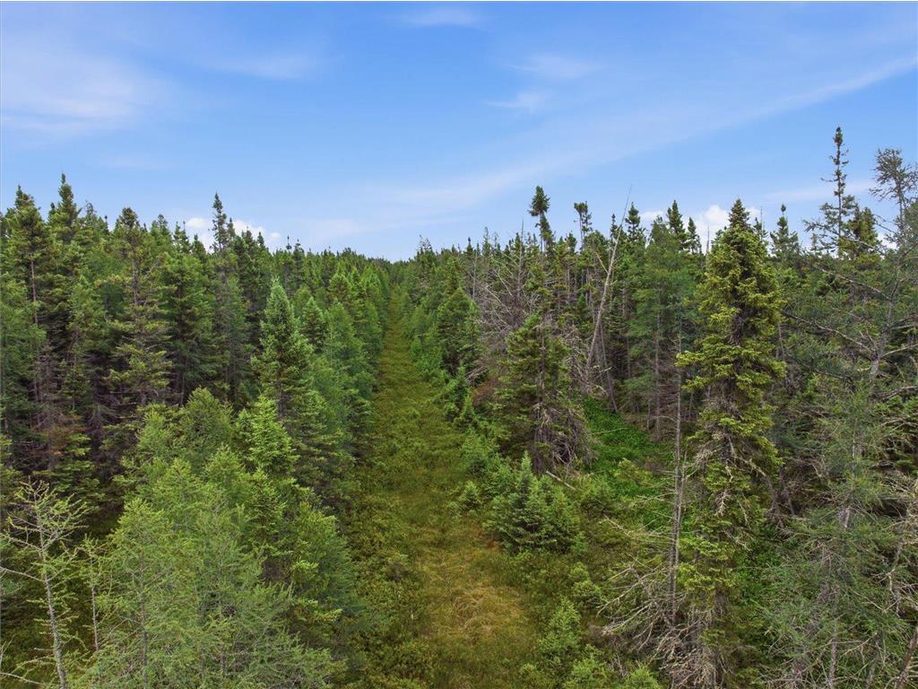 11352 Highway 2 Wawina MN 55736 7111332 image27