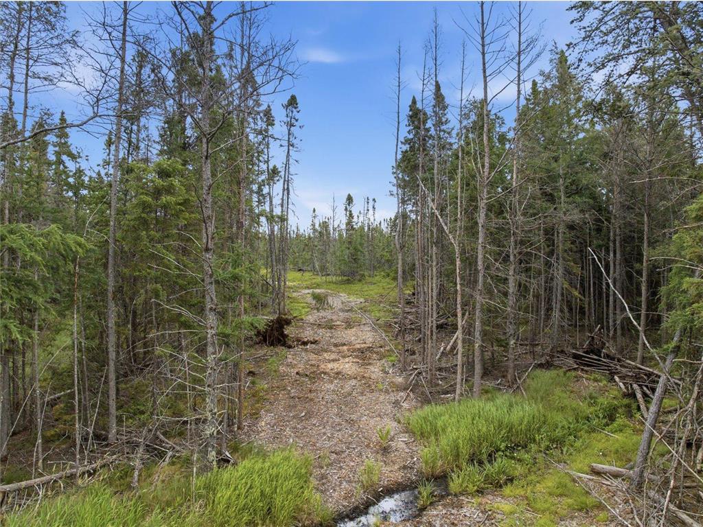 11352 Highway 2 Wawina MN 55736 7111332 image4