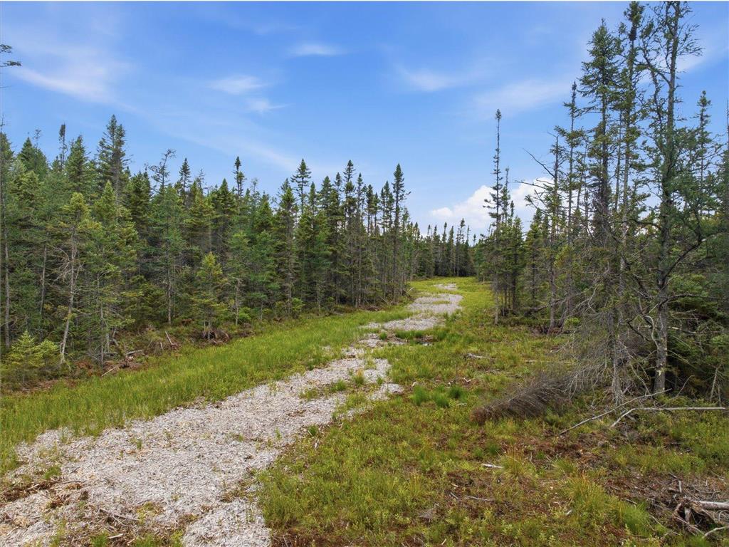11352 Highway 2 Wawina MN 55736 7111332 image5
