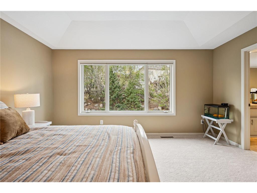 11356 Entrevaux Drive Eden Prairie MN 55347 7023443 image39